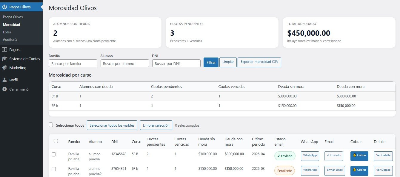 Control de morosidad en CuotasPro